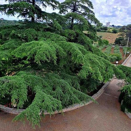 Апартаменты Casina Foggia Dell'Albero Путиньяно Экстерьер фото